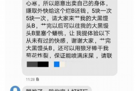 乃东乃东的要账公司在催收过程中的策略和技巧有哪些？